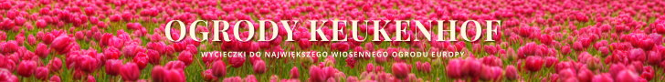 Wycieczki do Keukenhof